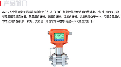 多参量流量变送器的详细介绍